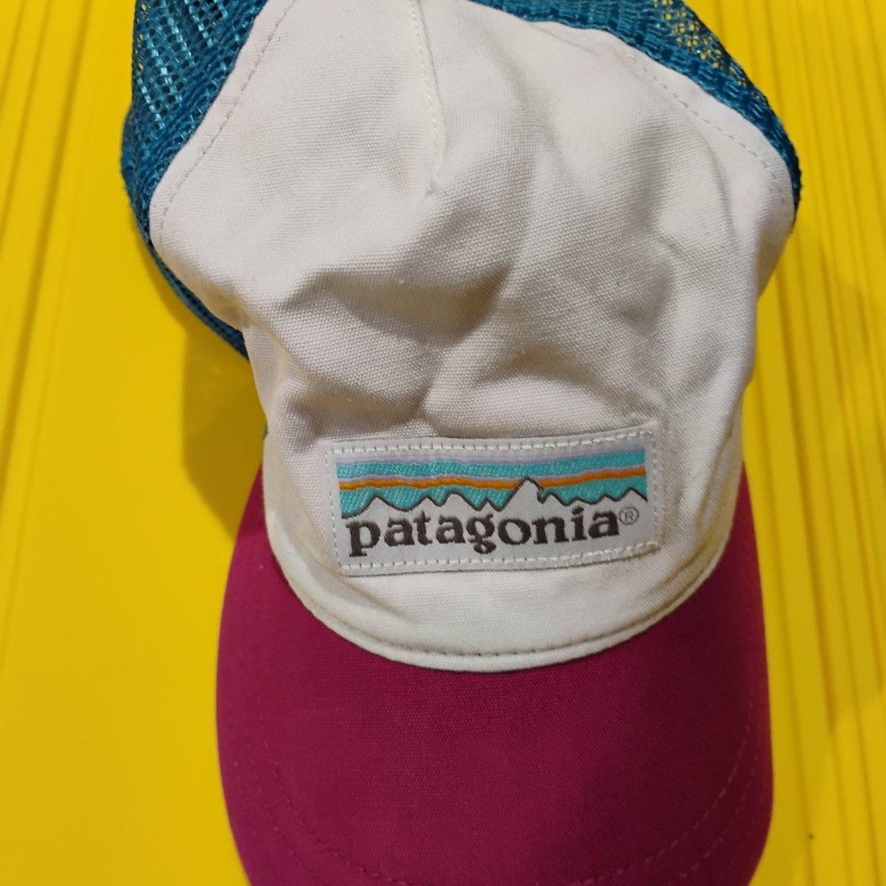 Patagonia Pink and White Trucker Hat